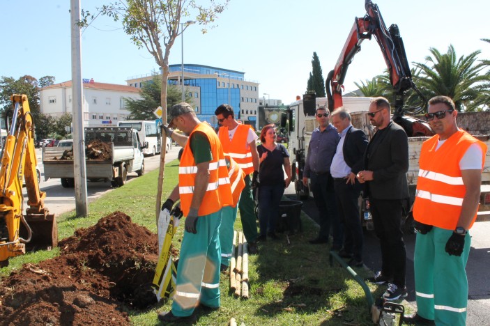 Nasadi posadili novi drvored na Branimirovoj obali